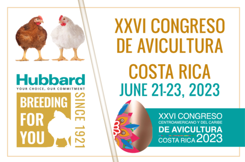 BLOC ACTUS WEB SALONS COSTA RICA
