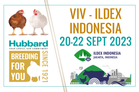 BLOC ACTUS WEB SALONS VIV ildex INDO