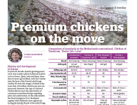BlocActu_Premium Chickens on the move