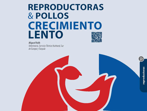 BlocActu_Rep y Pollo de crecimiento Lento