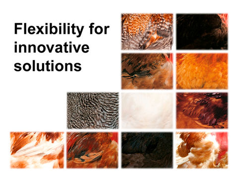 BlocActu_IHP_FlexibilityforInnovativeSolutions