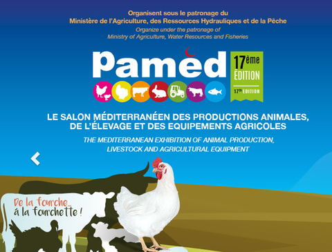 BlocActu_PAMED 2020