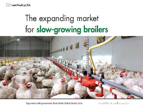 BlocActu-Theexpanding Market for slow-growing broilers_WattPoultryUSA