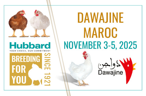Dawajine 2025
