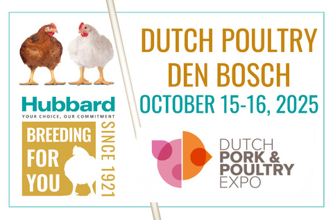 EN DUTCH POULTRY 2025