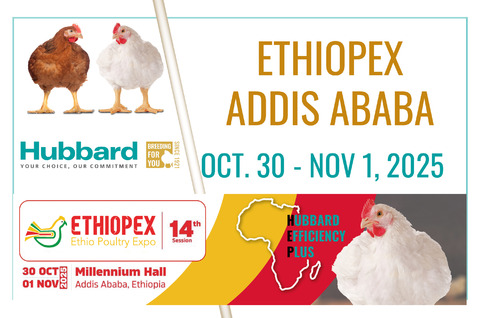 ETHIOPEX OCT NOV 2025