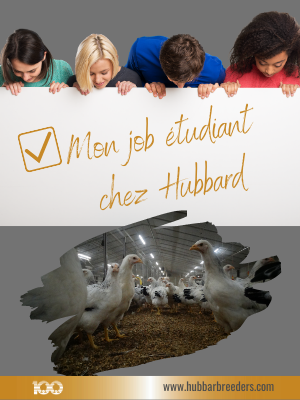 JobEtudiant1