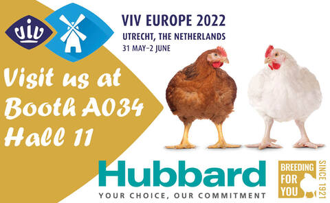 LinkedIn Image VIV Europe 2022 Broiler