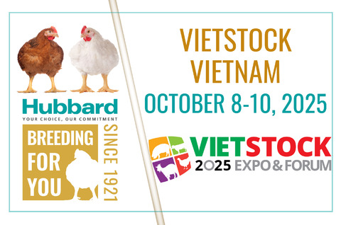VIETSTOCK