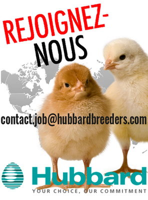 WEB - WIDGET - RH 2020